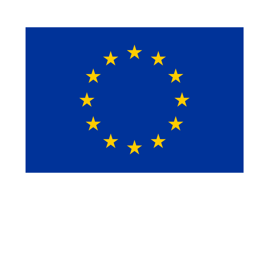 Euroopan Unionin rahoittama